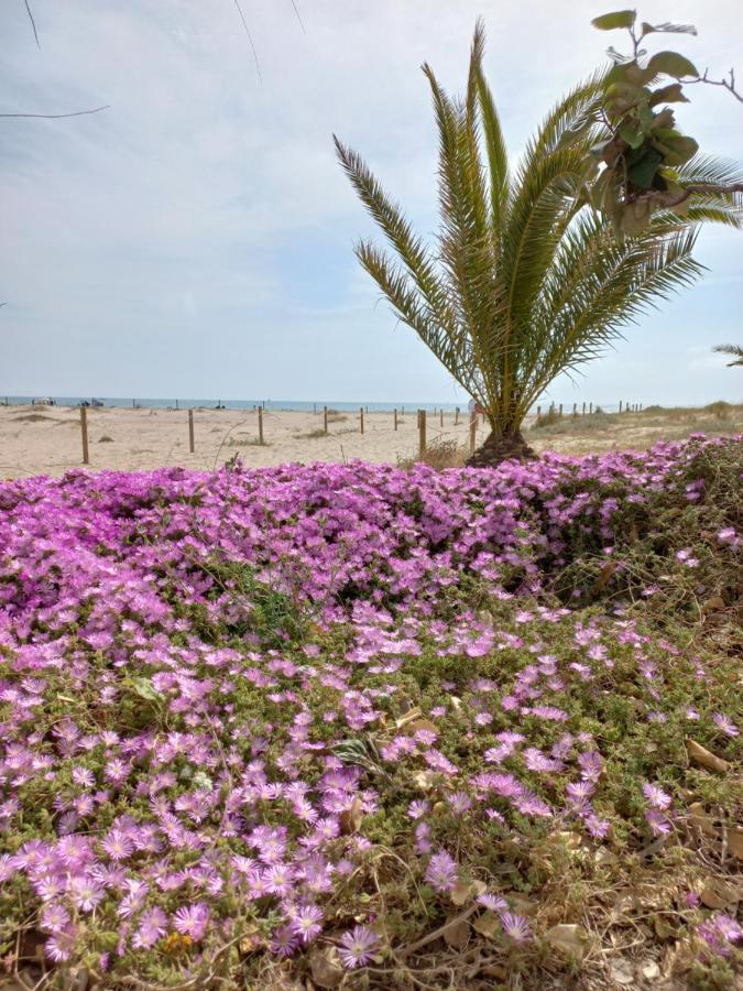 Friendly Home Bella Casa Sagunto 外观 照片